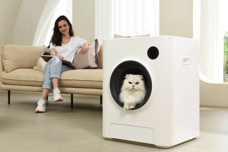 automatic kitty litter